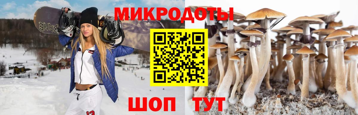 Псилоцибиновые грибы Psilocybine cubensis  Вход с VPN  Сергиев Посад 